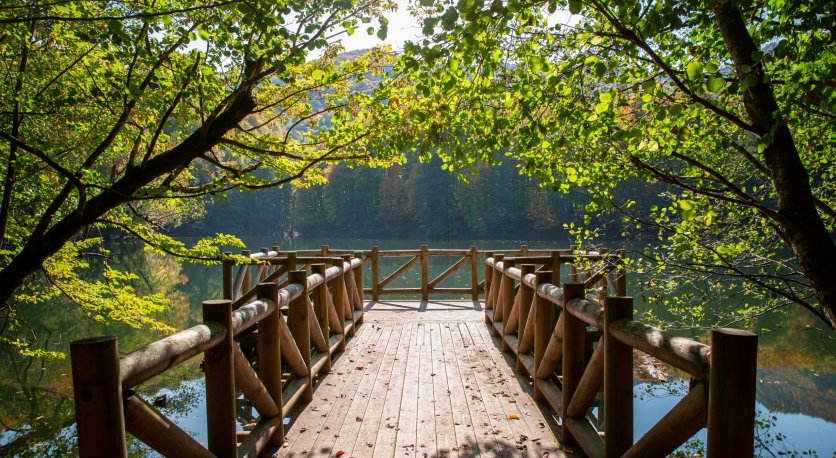 Sonbahar Tatil Rotaları: Doğa, Kültür ve Sakinlik Arayanlar İçin En İyi Yerler